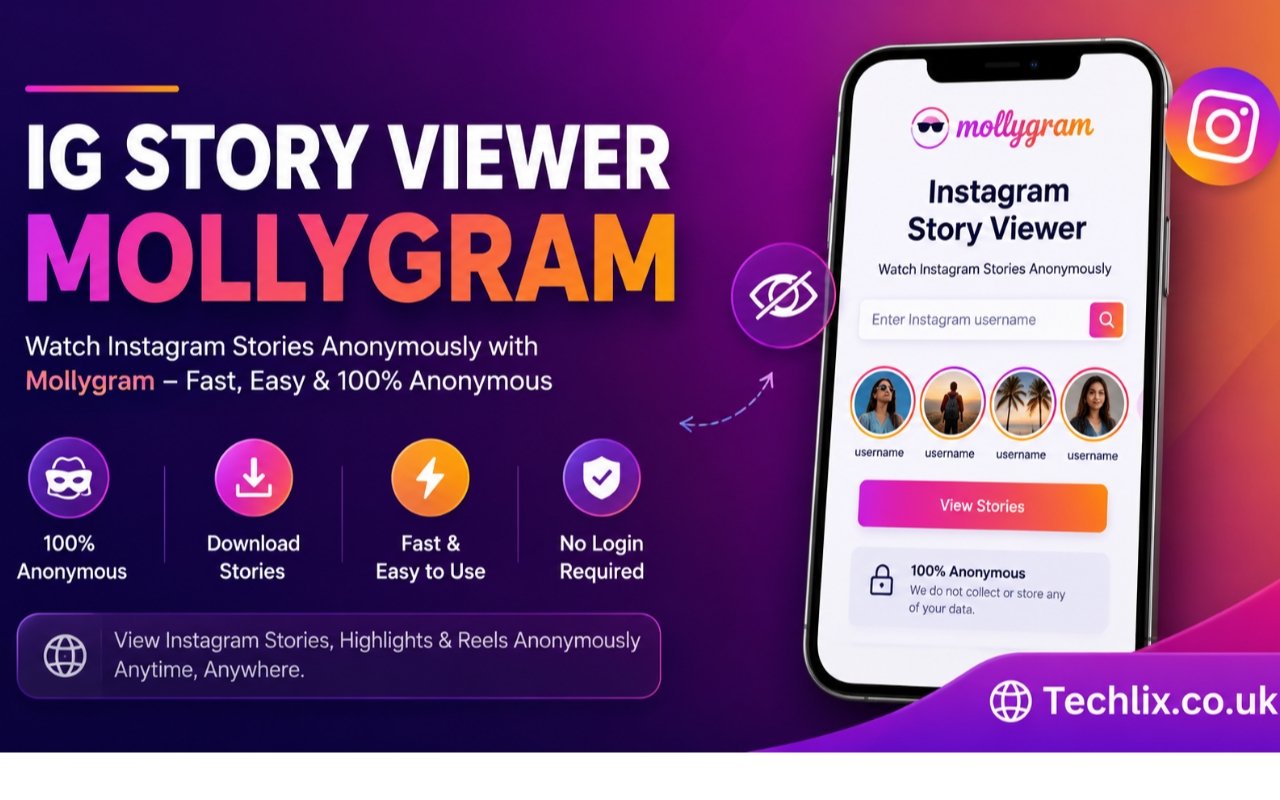 ig story viewer mollygram